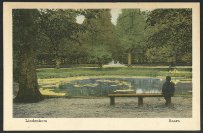 16801 Gezicht op de vijver de Lindenkom in het Baarnsche Bos te Baarn.